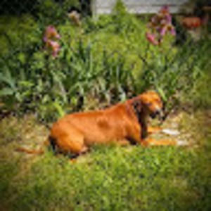 Meet your Posher, Tara